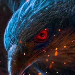 Meet your Posher, Jose